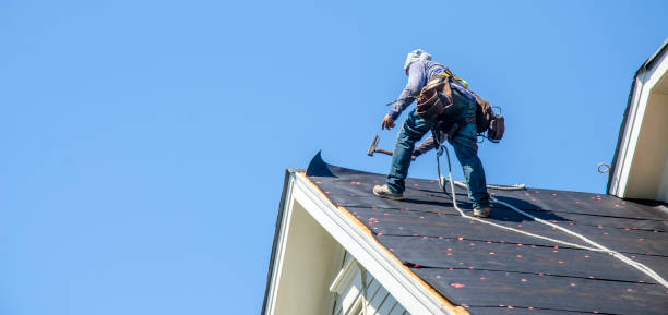 Best Roof Gutter Cleaning  in Paincourtville, LA